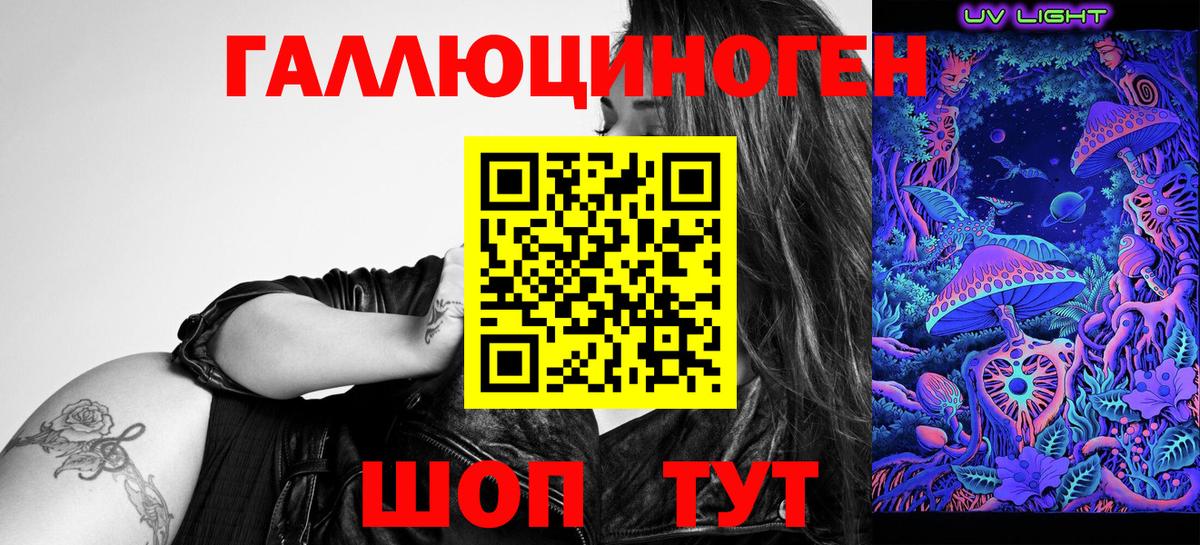 Междуреченск  Псилоцибиновые грибы Psilocybe  Вход с VPN 