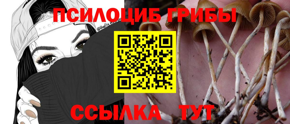 Галлюциногенные грибы мухоморы Междуреченск